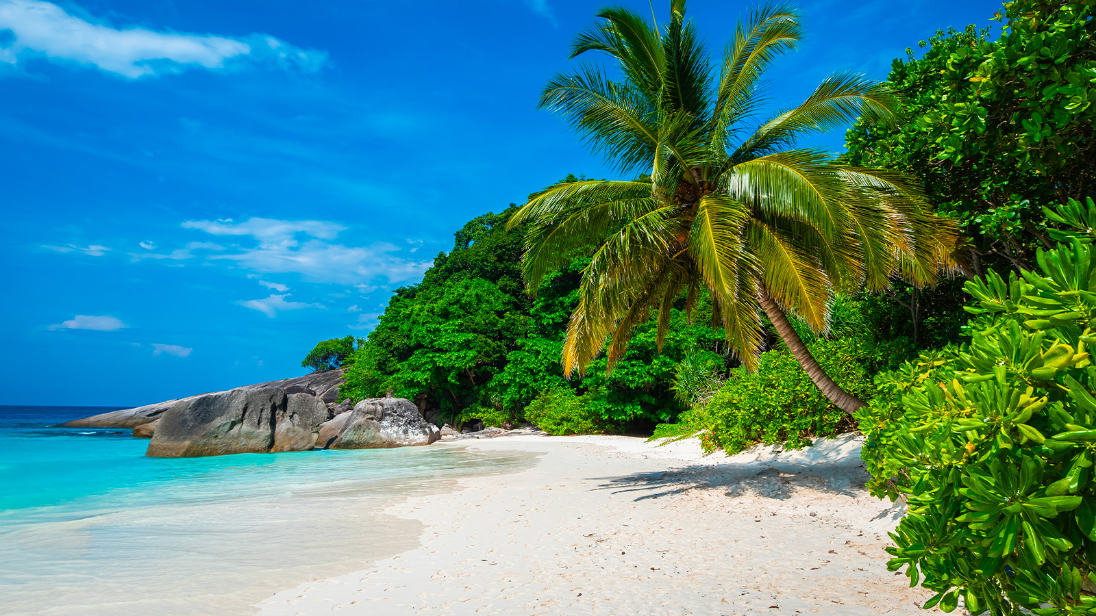 Isola